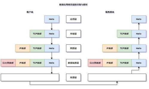計(jì)算機(jī)網(wǎng)絡(luò)體系結(jié)構(gòu) 連接計(jì)算機(jī)系統(tǒng)服務(wù)的橋梁